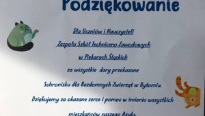 „POMÓŻMY BEZDOMNYM ZWIERZĘTOM”