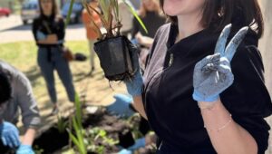 Ogród deszczowy w ZST – Z